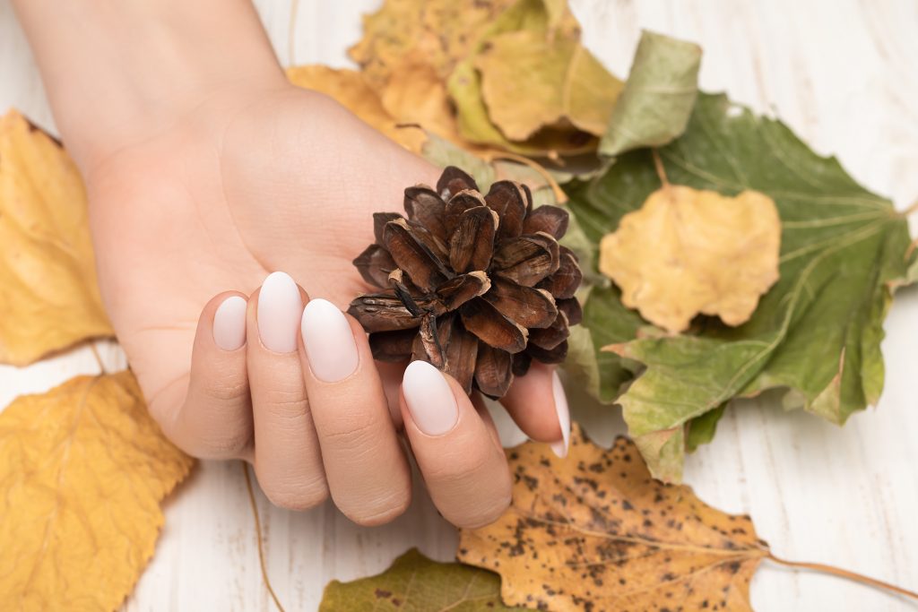 Sustainable Chic