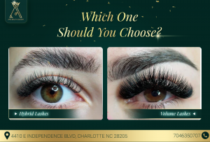 What’s the Difference and Which One Should You Choose